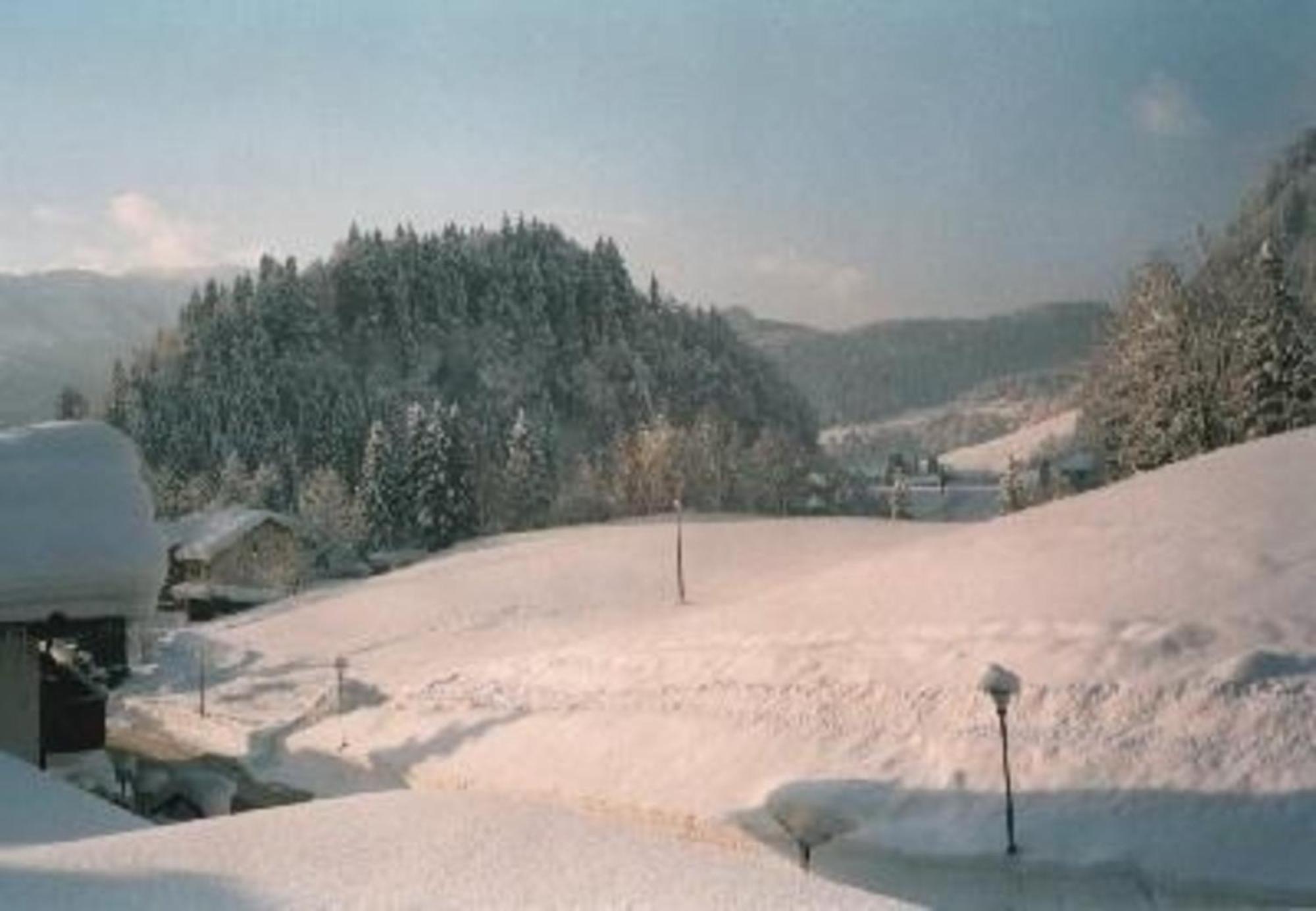 Haus Sport Alpin Nr 5 Mit Kleiner Terrasse In Oberstdorf-tiefenbach Apartment Oberstdorf
